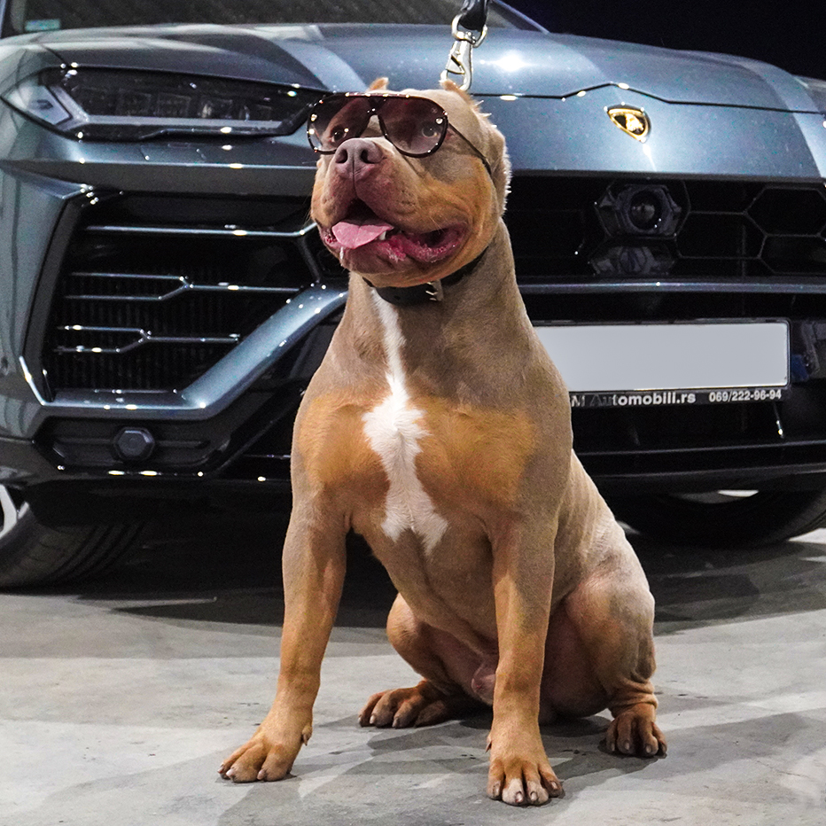Bentley